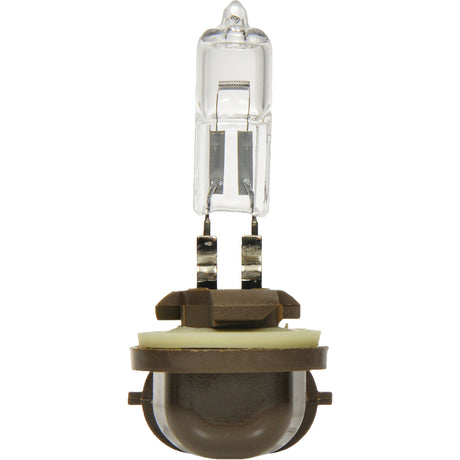 886 Basic Fog Light Bulb, Halogen, 50 W, Off White
