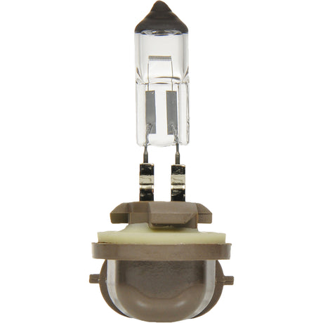 896 Basic Fog Light Bulb, Halogen, 37.5 W, Off White