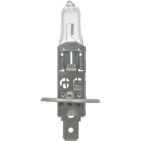 64155 Basic Automotive Bulb, Halogen, 78 W, Off White