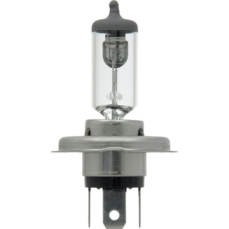 64196 Basic Automotive Bulb, Halogen, 70 W/75 W, Off White