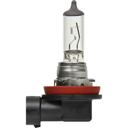 H8 Basic Headlight Bulb, Halogen, 35 W, Off White