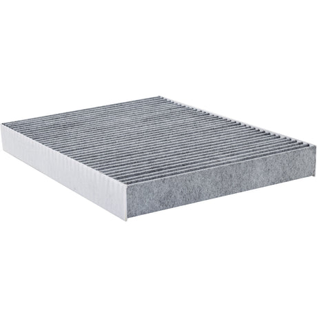 PA10067 Cabin Air Filter