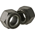 Hex Nut, 5/8" Dia., Black Oxide, Coarse