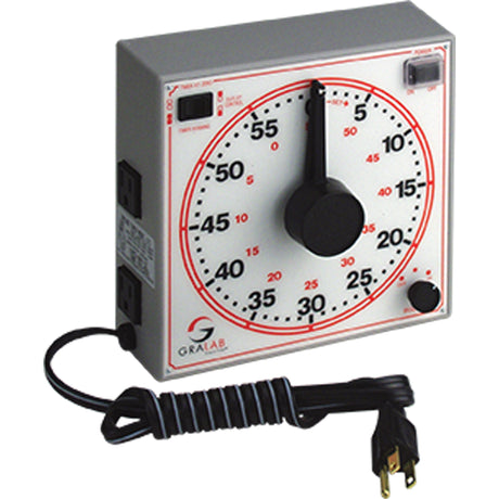 Dual Scale Timer