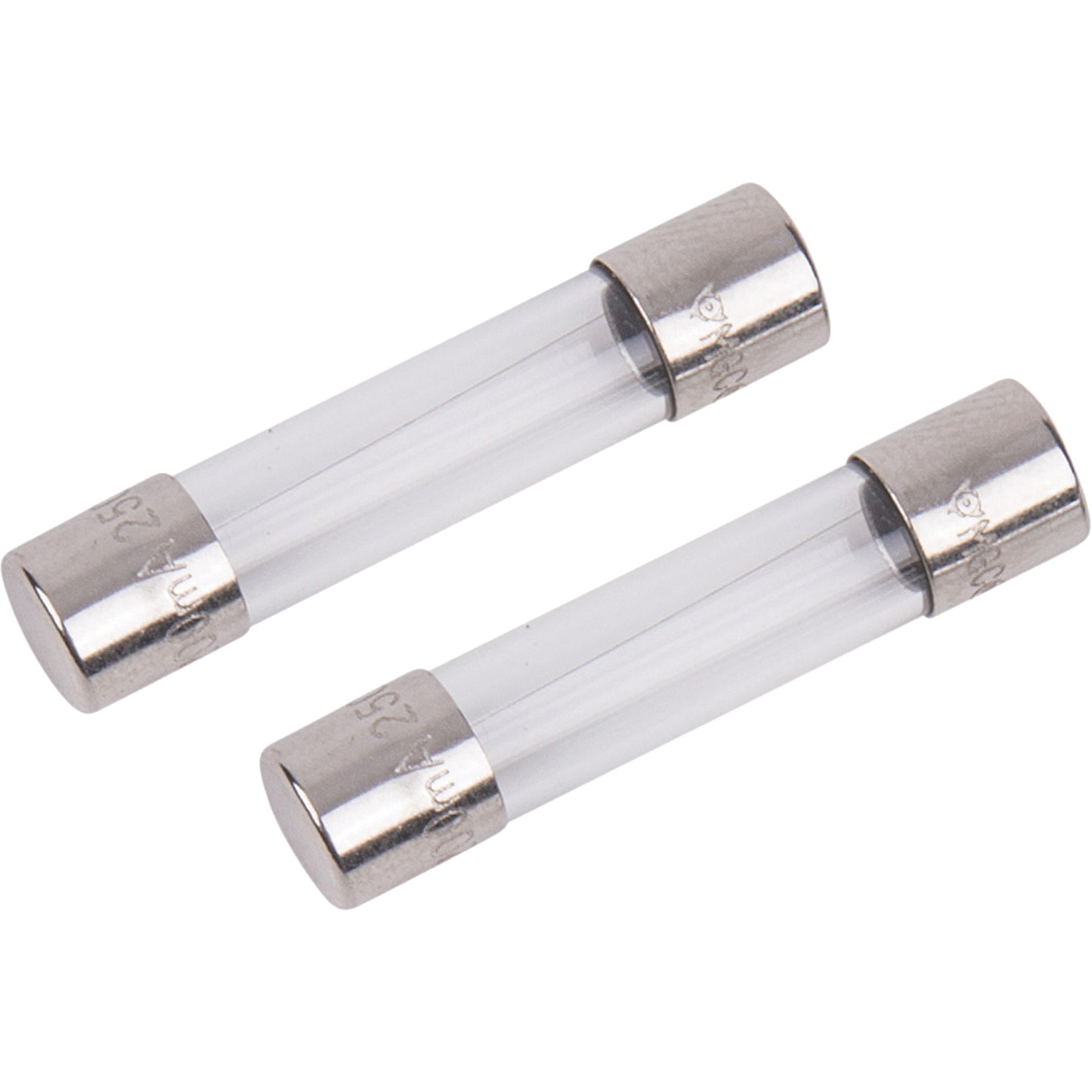 Test Lead Replacement Fuses