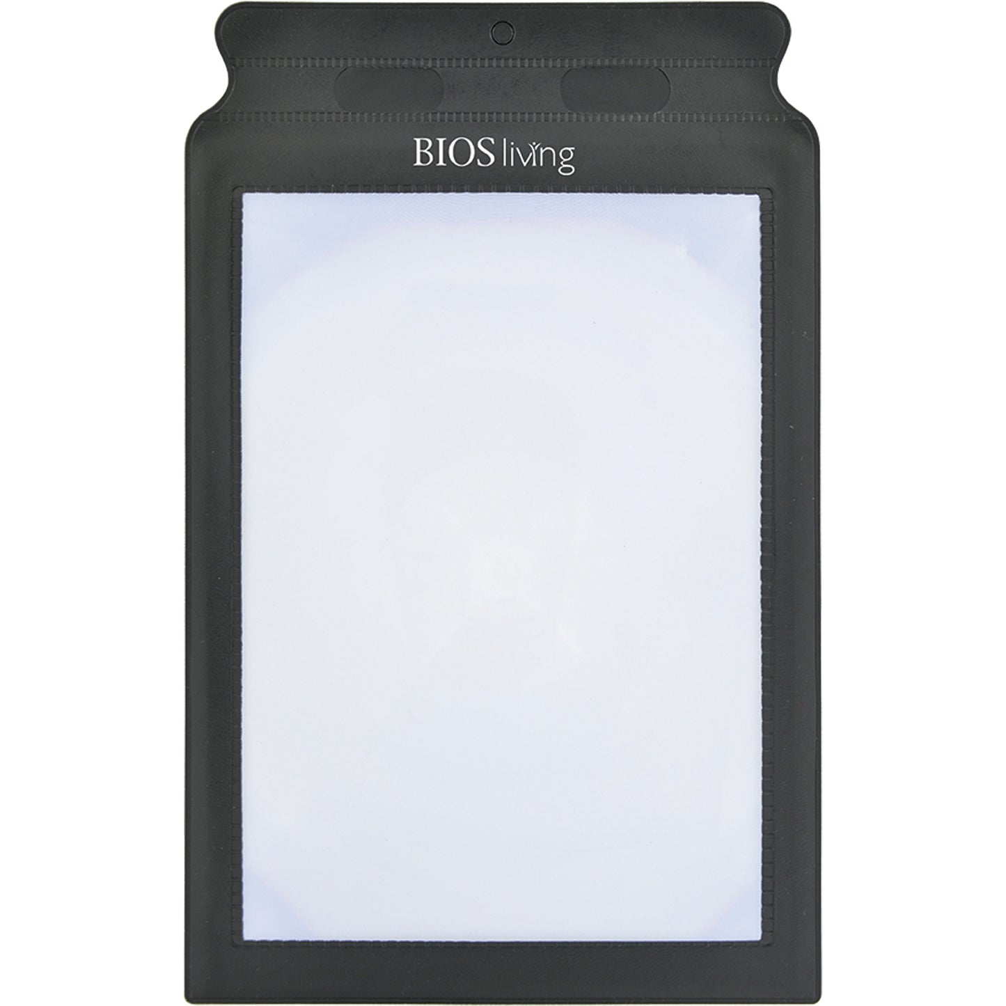 BIOS Page Magnifier