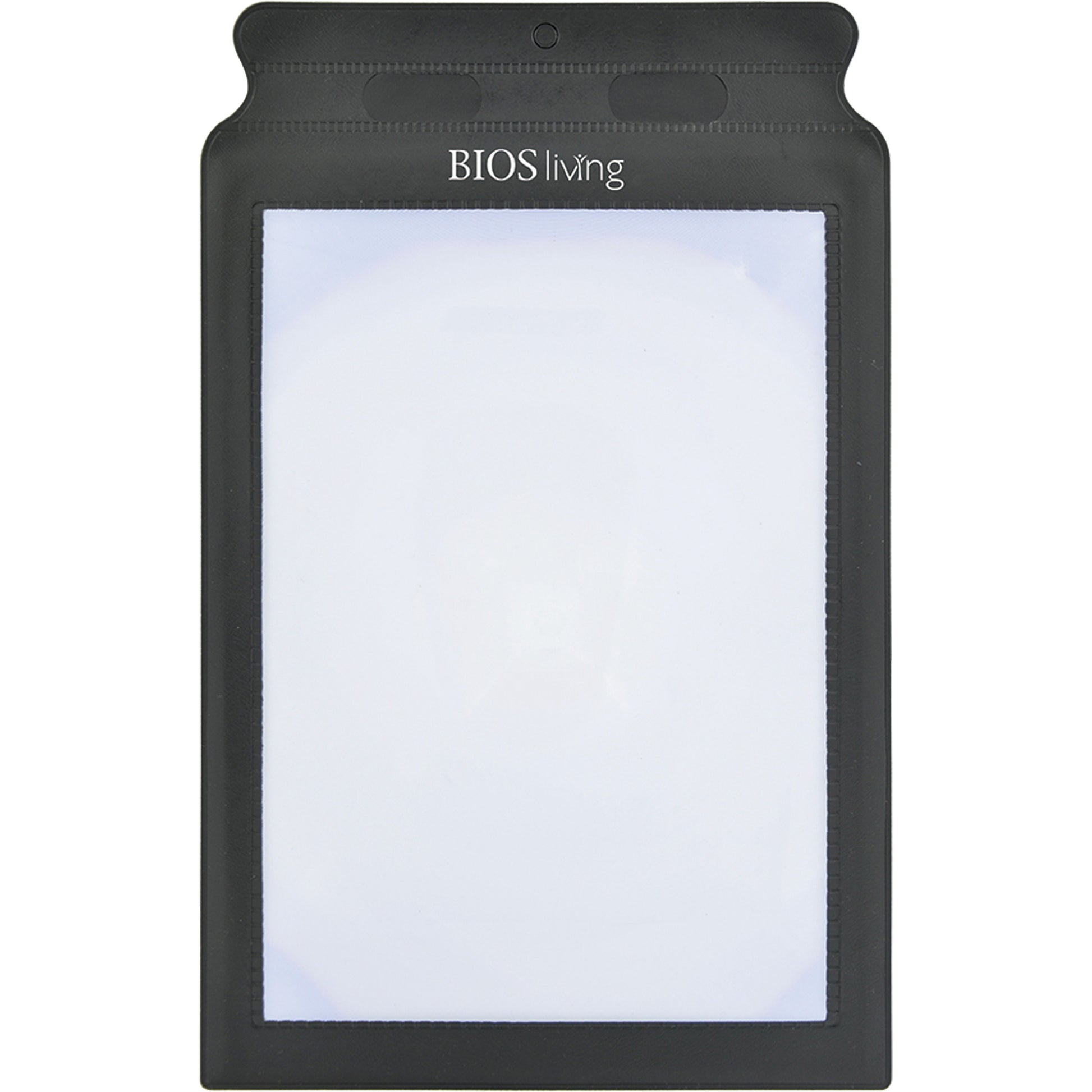 BIOS Page Magnifier