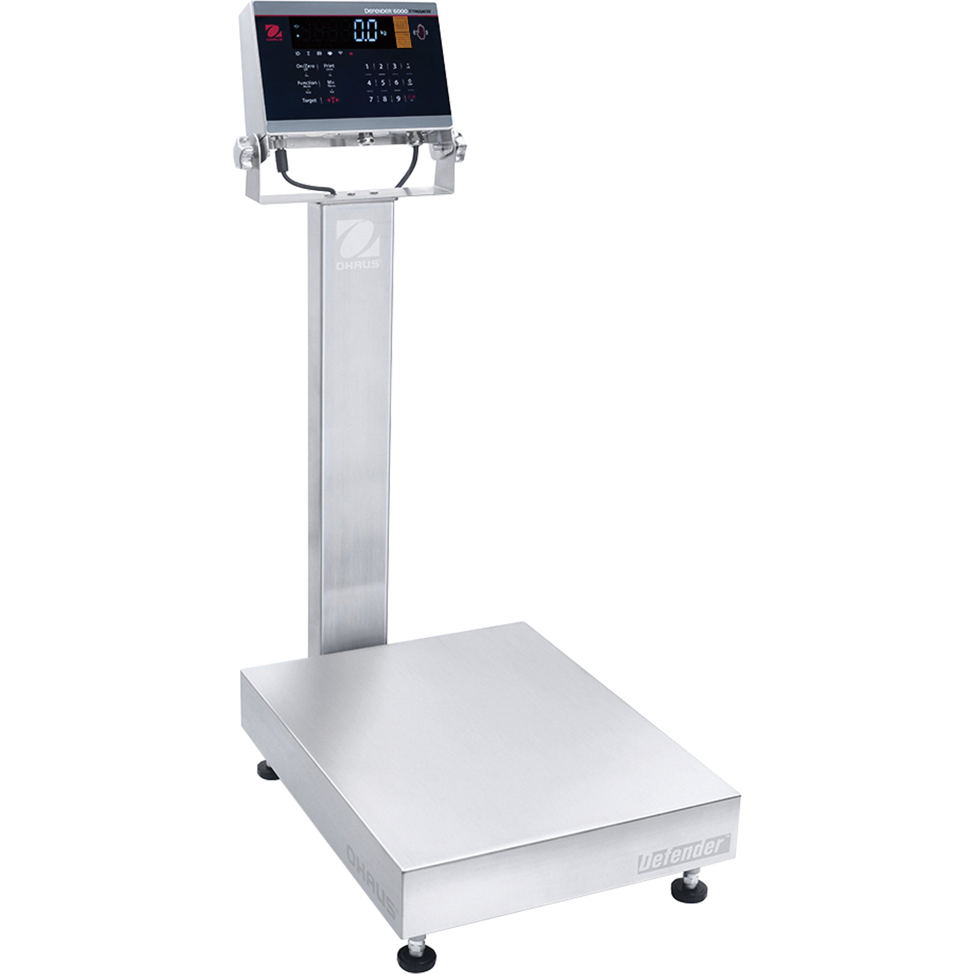 Defender™ 6000 Washdown Bench Scale, 300 lbs. Capacity, 19-7/10" L x 15-7/10" W