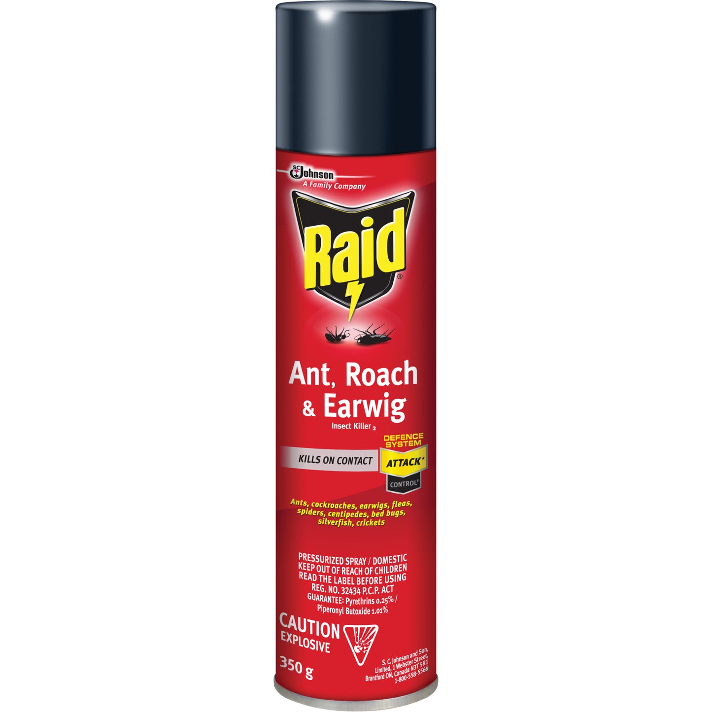 Raid® Ant, Roach & Earwig Insect Killer, 350 g, Solvent Base