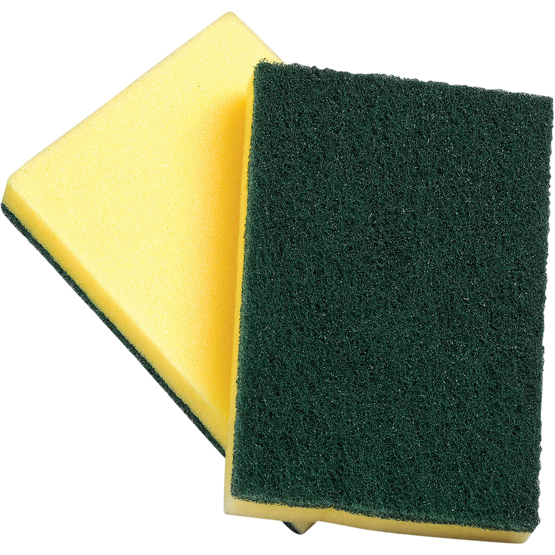 Sponges with Scouring Pad, Scrubbing, 4" W x 6" L