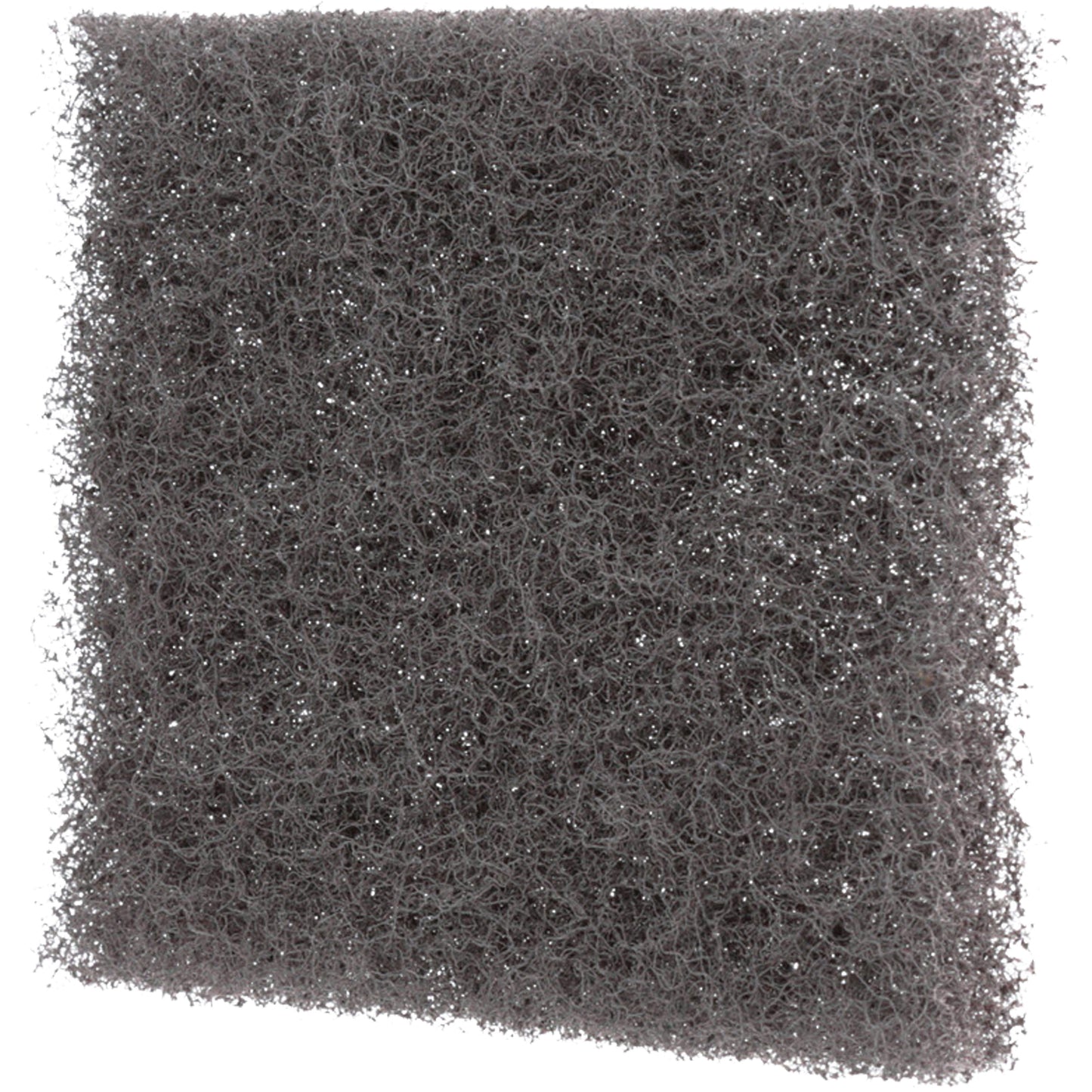 Scotch-Brite™ Griddle Polishing Pad, 4" L x 5" W