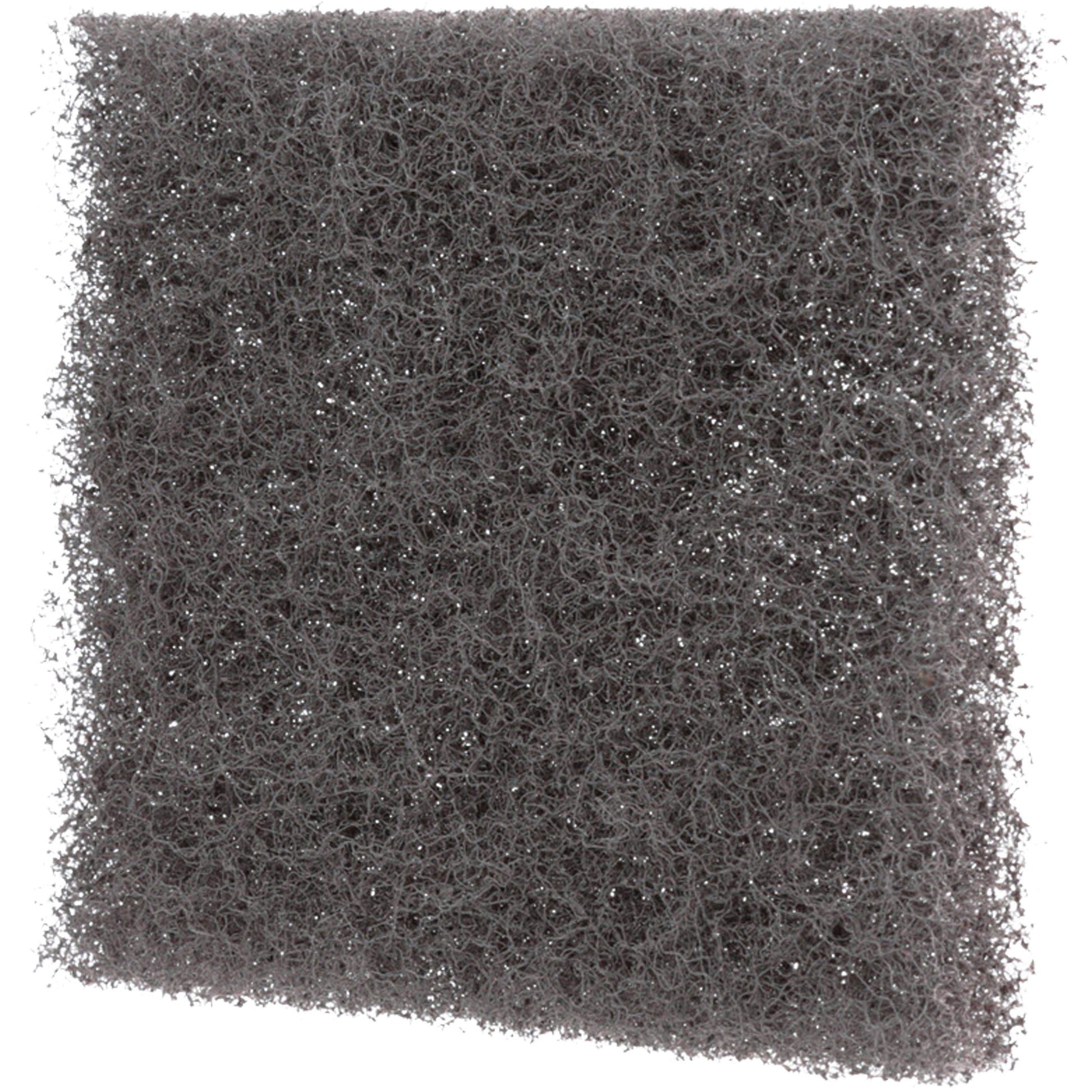 Scotch-Brite™ Griddle Polishing Pad, 4" L x 5" W