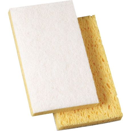 Scotch-Brite™ Light Duty Scrub Sponge, 3-3/5" L x 6" W