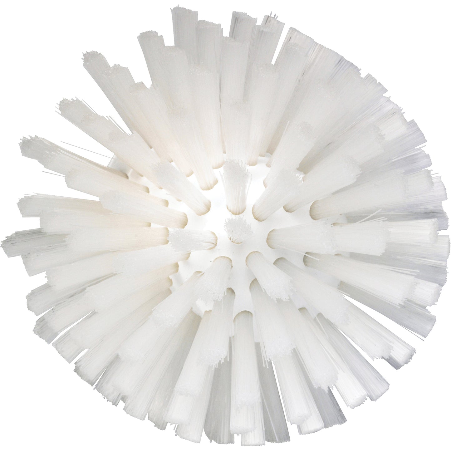 5" Brush, Medium Bristles, 4-1/2" Long, White