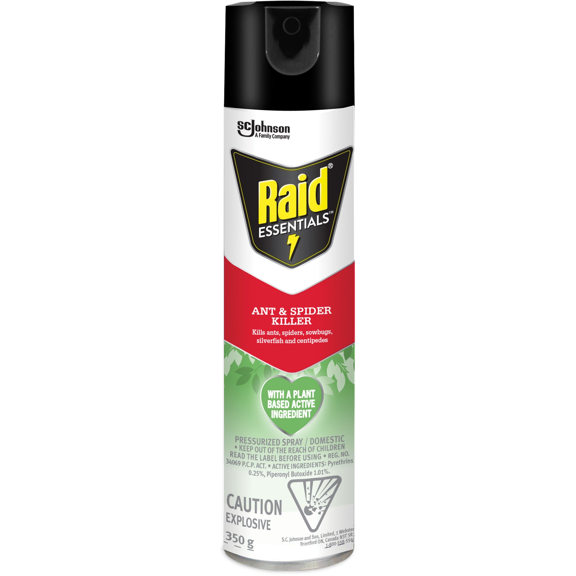 Raid® Essentials™ Ant & Spider Killer, 350 g, Aerosol Can