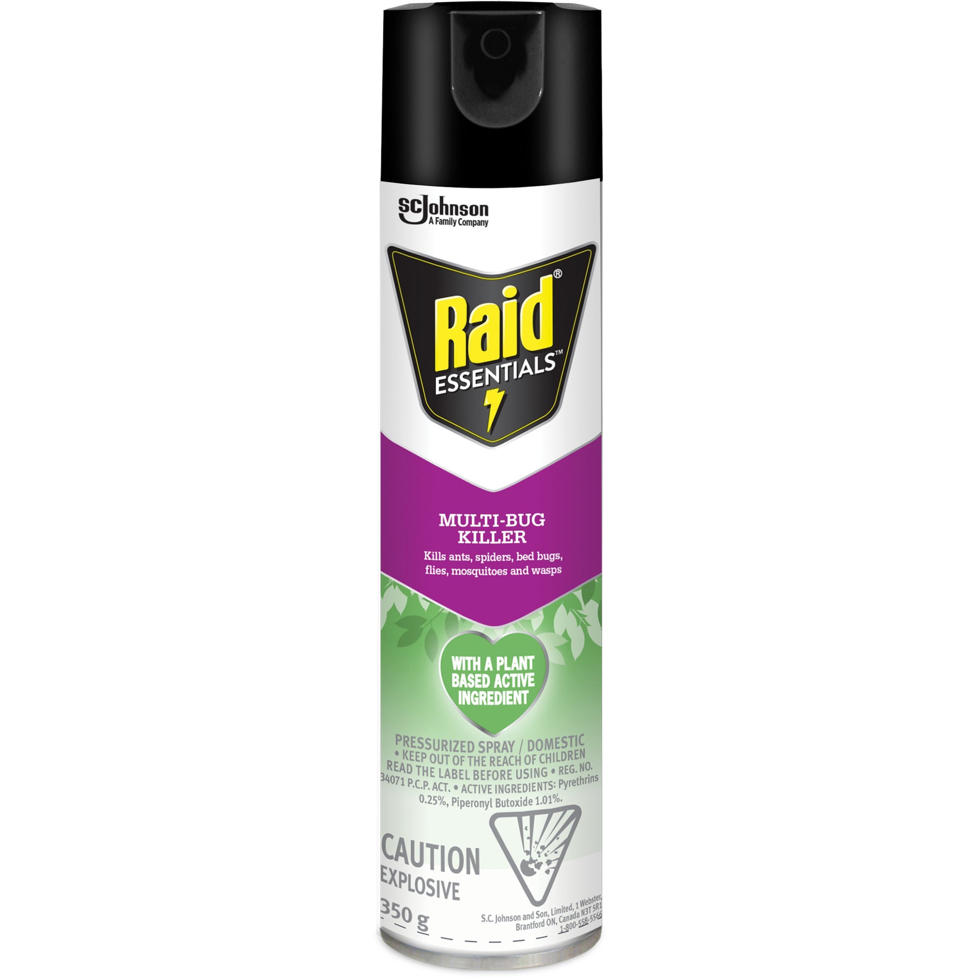 Raid® Essentials™ Multi-Bug Killer, 350 g, Aerosol Can