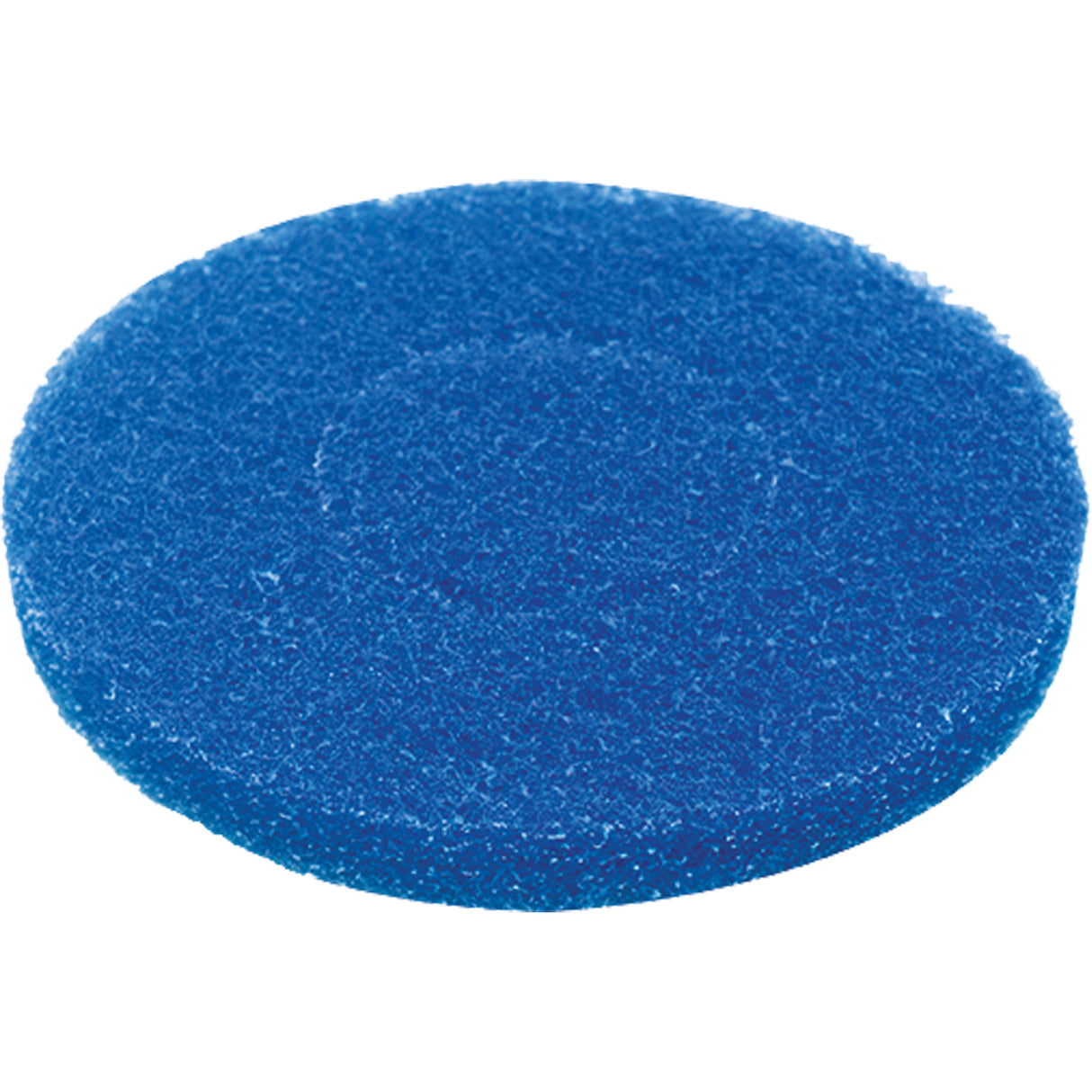 Floor Pad, Cleaning, Blue
