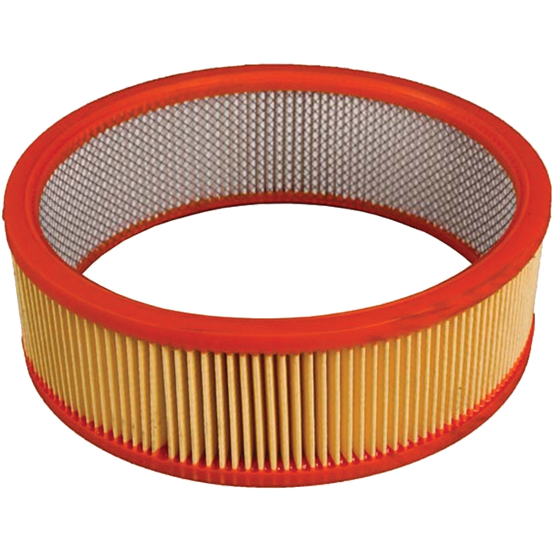Antimicrobial Vacuum Secondary Filter, Hepa
