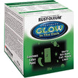 Specialty Glow-in-the-Dark Paint, 207 ml, Kit, Clear