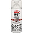 Rust Protector® Rust Preventative Enamel, Clear, Satin, 12 oz., Aerosol Can