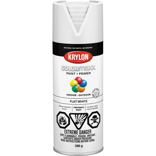 COLORmaxx™ Paint + Primer, White, Very Flat, 12 oz., Aerosol Can