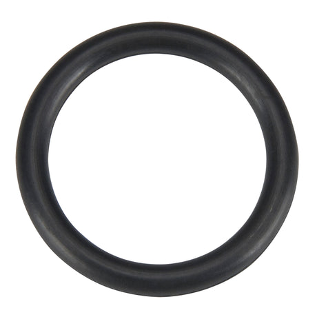 O Ring, Plain