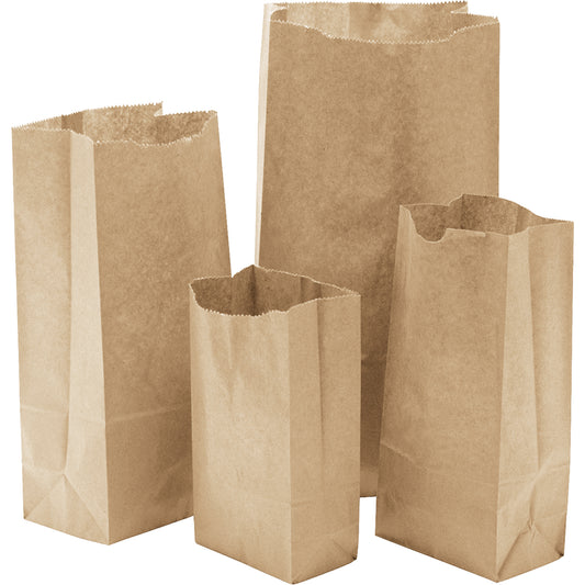 Paper Bags #10, Paper, 6-1/2" W x 13-0/0" L