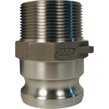 Global Cam & Groove Adapter, Stainless Steel, Type F, 2", Male NPT, 250 PSI