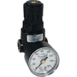 Wilkerson Miniature Regulator R04, 1/4" NPT, 300 psi Max. PSI, Standard