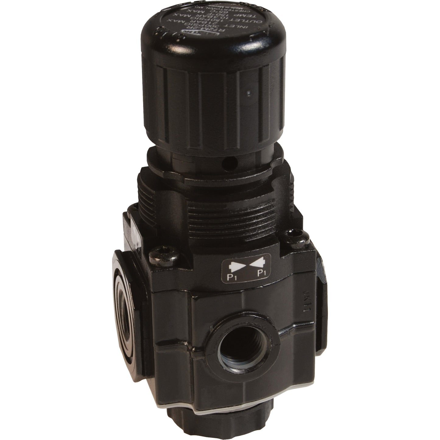 Series 1 Manifold Regulator, 1/4" NPT, 150 PSI Max. PSI, Standard