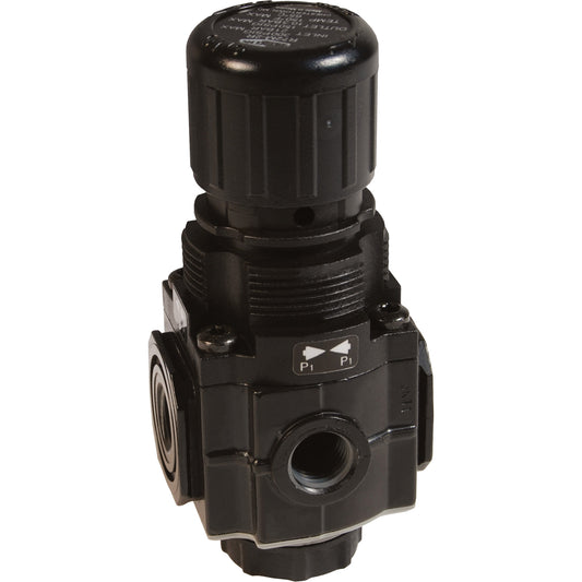 Series 1 Manifold Regulator, 1/4" NPT, 150 PSI Max. PSI, Standard