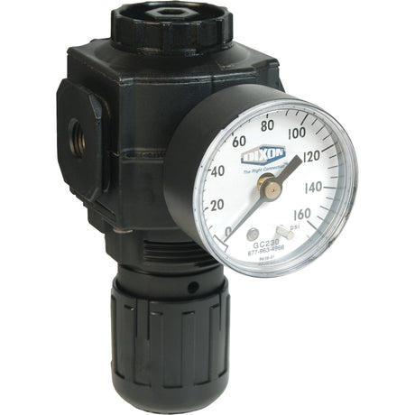 Series 1 Compact Regulator, 1/2" NPT, 150 PSI Max. PSI, Standard