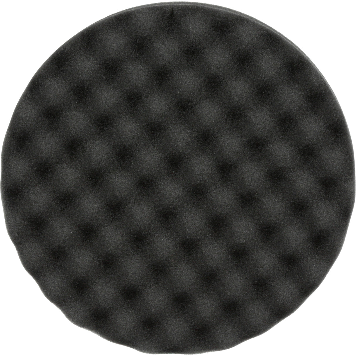 Polishing Pad, 8" dia., Foam