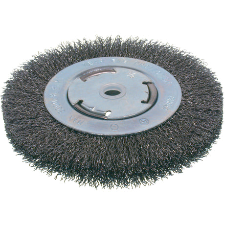Economy Crimped Wire Wheel Brushes - Medium Face, 6" Dia., 0.008 Fill, 2" Arbor