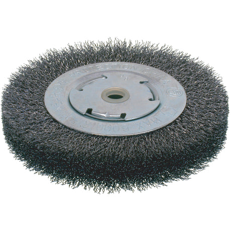 Economy Crimped Wire Wheel Brushes - Wide Face, 8" Dia., 0.014 Fill, 2" Arbor