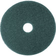 Cleaner Pad, 13", Scrubbing, Blue