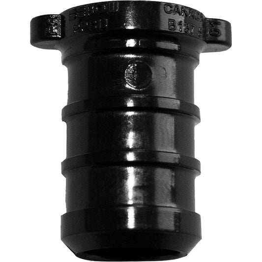 Pipe Plug, Pipe, 3/4" Dia., Polyalloy