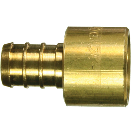 Lead-Free Sweat Adapter, Barb x Female, 1-1/4" Dia., Brass