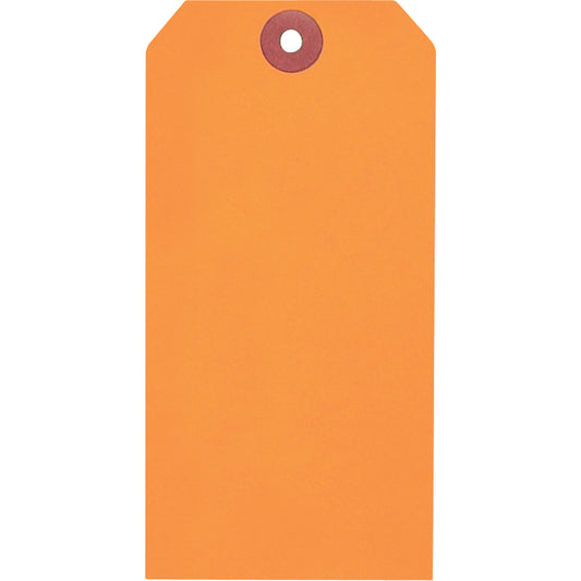  Coloured Blank Tags, Paper, 2-5/8" W x 5-1/4" H
