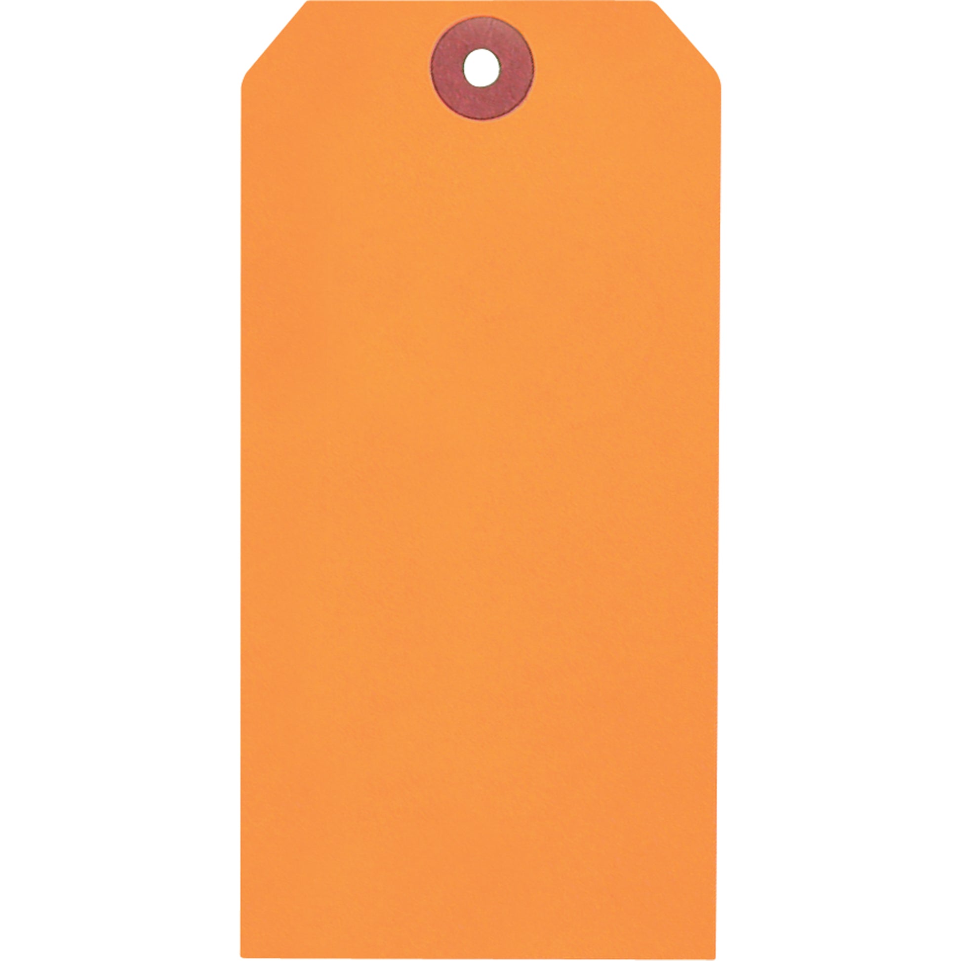  Coloured Blank Tags, Paper, 1-7/8" W x 3-3/4" H