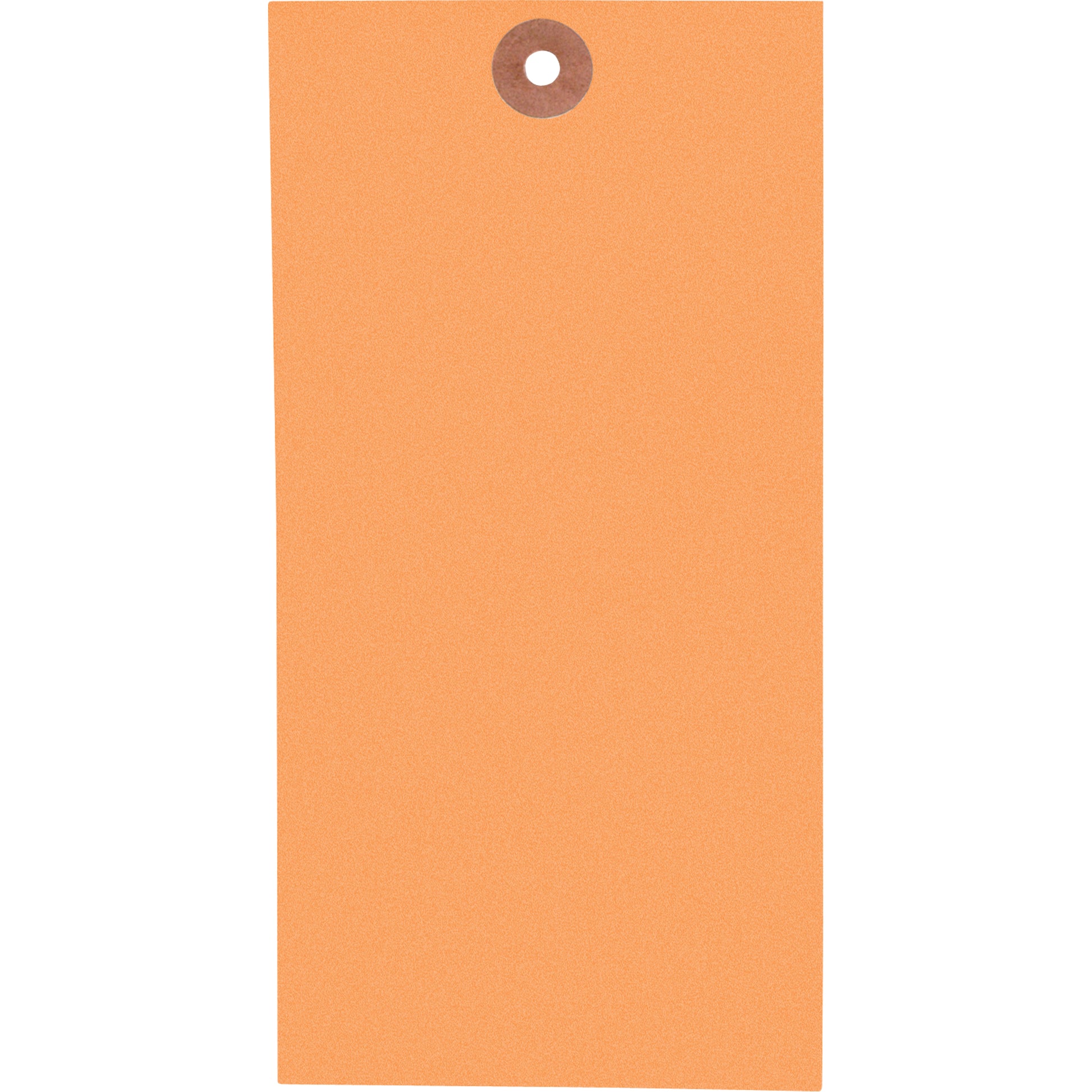  Coloured Blank Tags, Tyvek, 3-1/8" W x 6-1/4" H