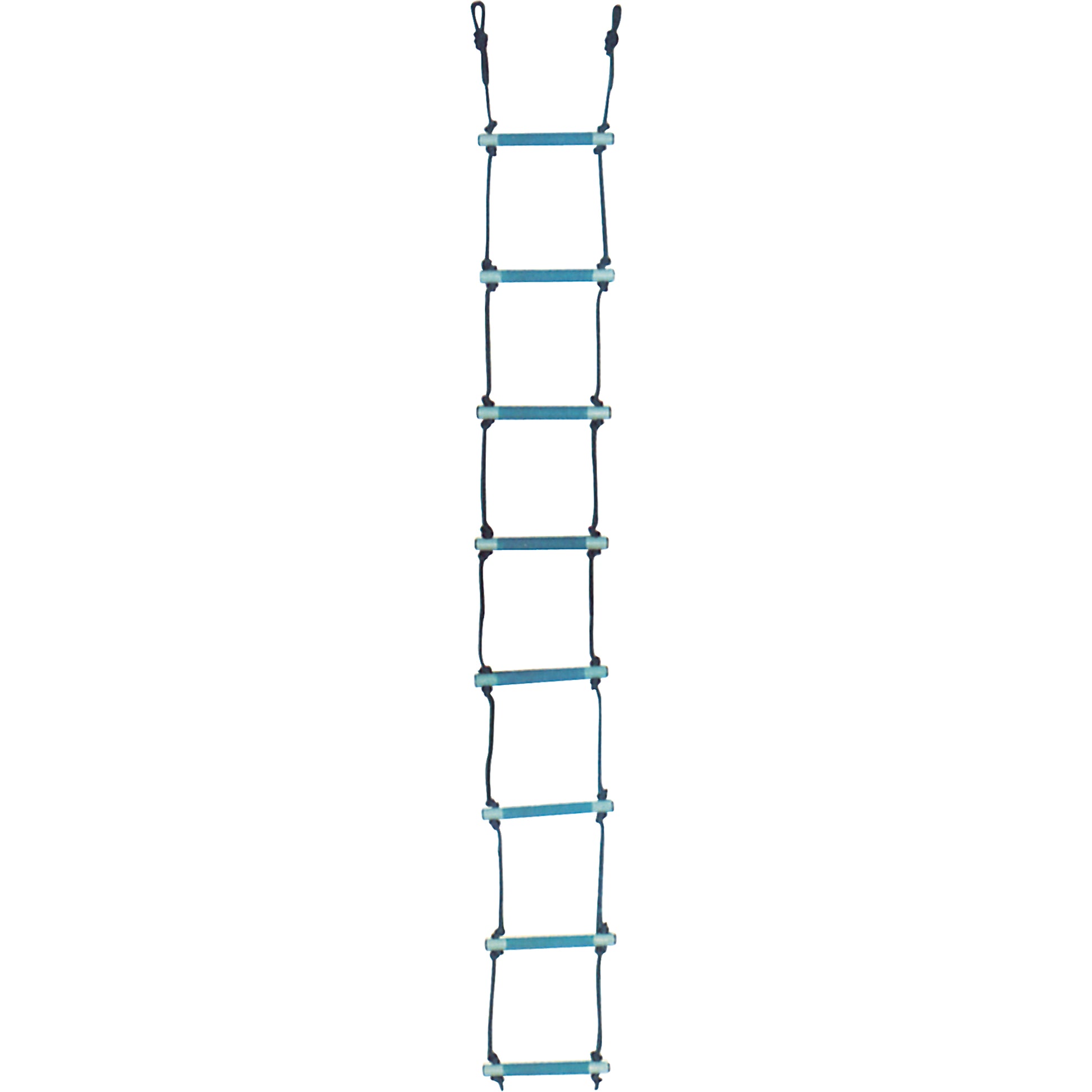 MSA Rescue Ladder