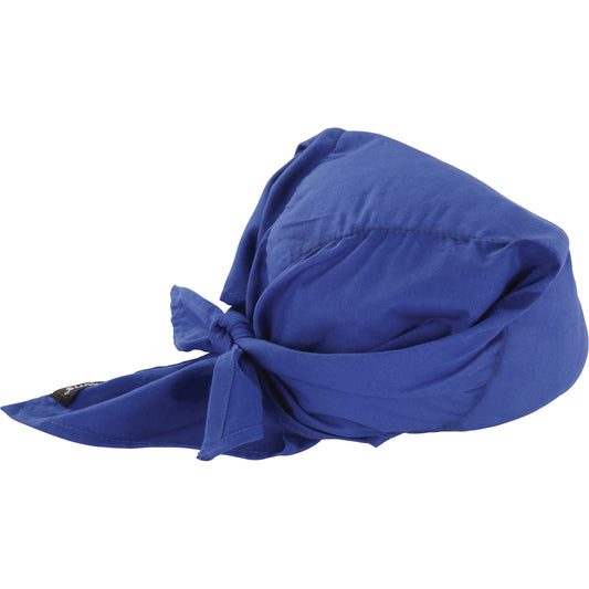 Ergodyne Chill-Its® 6710CT Cooling Triangle Hats, Blue