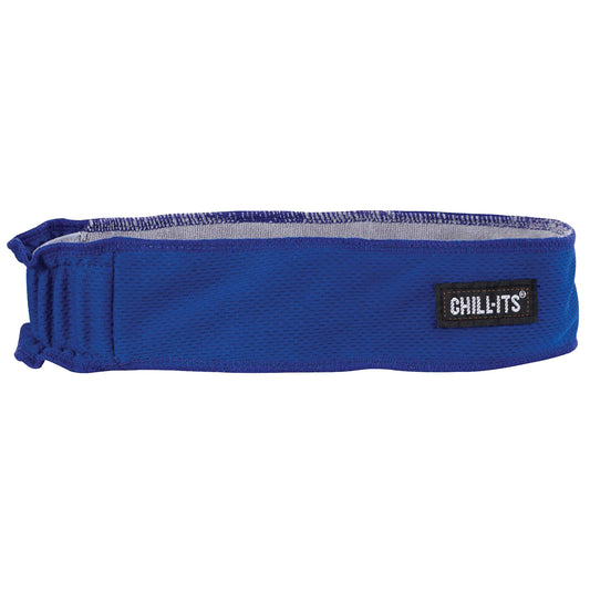 Ergodyne Chill-Its® 6605 Cooling Headbands, Blue