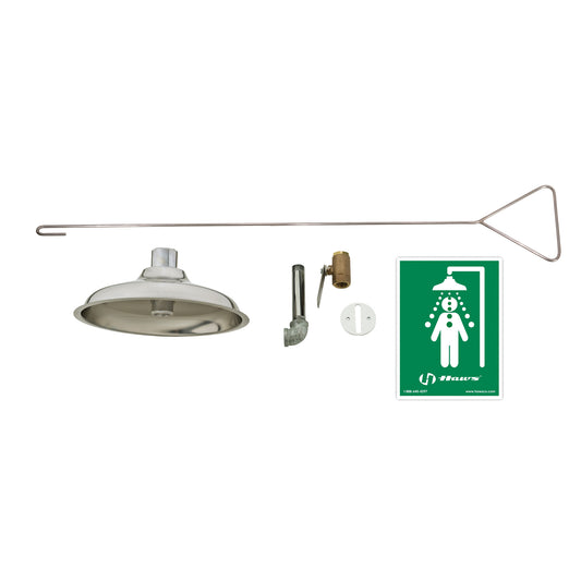 Haws Concealed Drench Shower, Ceiling-Mount