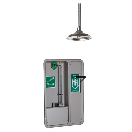 Haws Eye/Face Wash and Shower, Ceiling-Mount