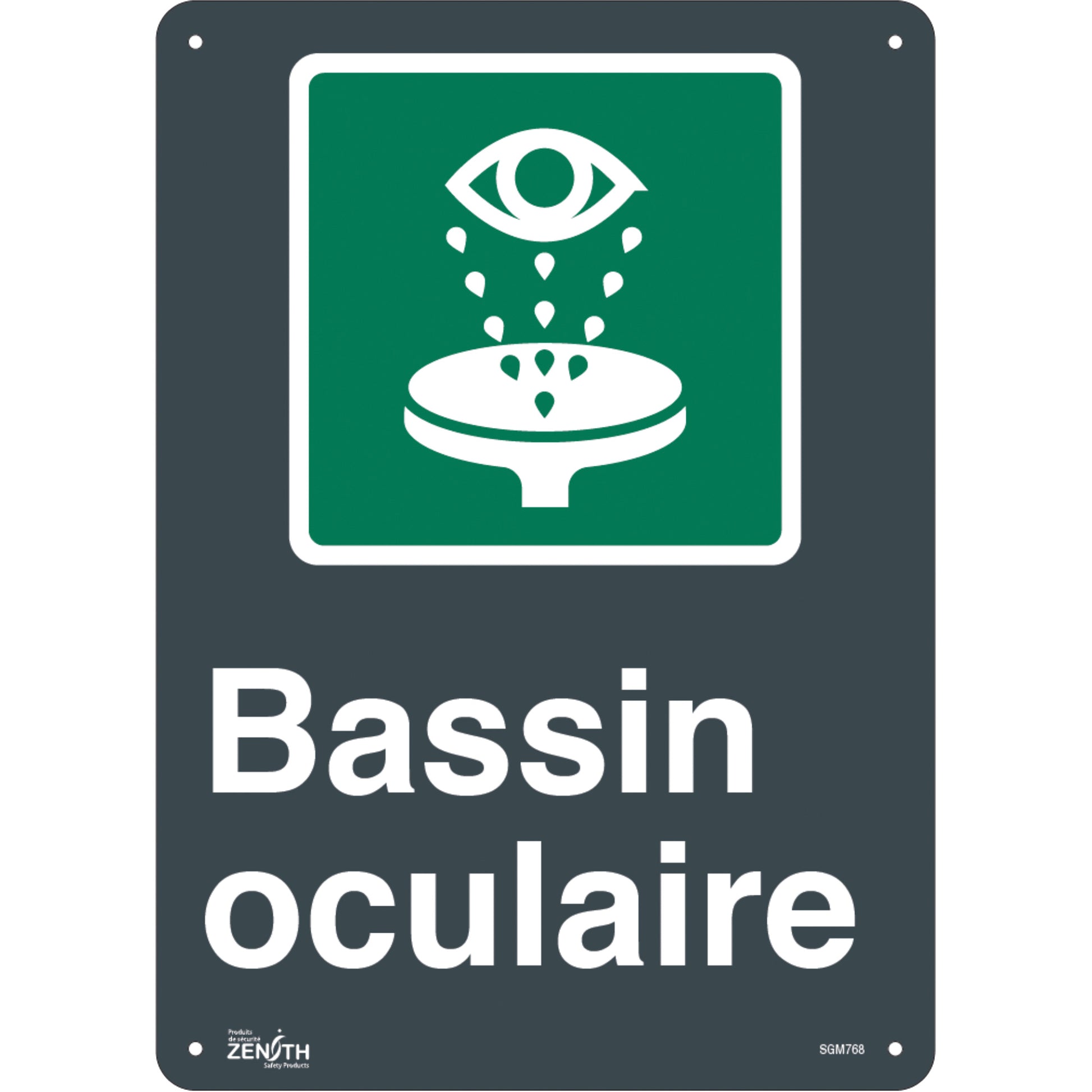 Zenith Safety Products "Bassin Oculaire" Sign, 14" x 10", Aluminum, French with Pictogram