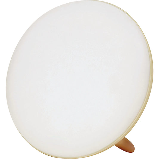 BIOS Jumbo Therapy Light for Seasonal Affective Disorder