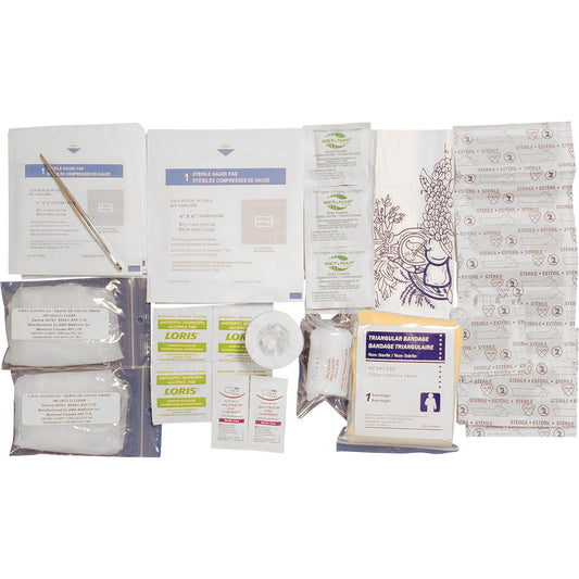 Dentec Shield™ First Aid Kit Refill, Meets CSA Z1220-17 Type 1 Personal, Personal (1 Worker)