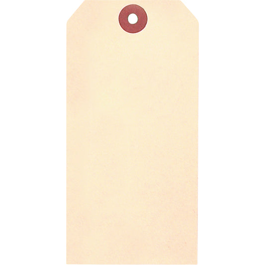 Accuform Signs Manila Blank Tags, Cardstock, 2-7/8" W x 5-3/4" H